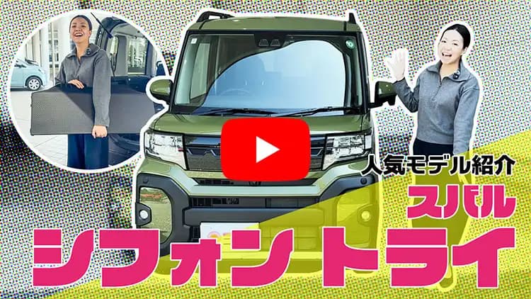 シフォンの動画サムネイル