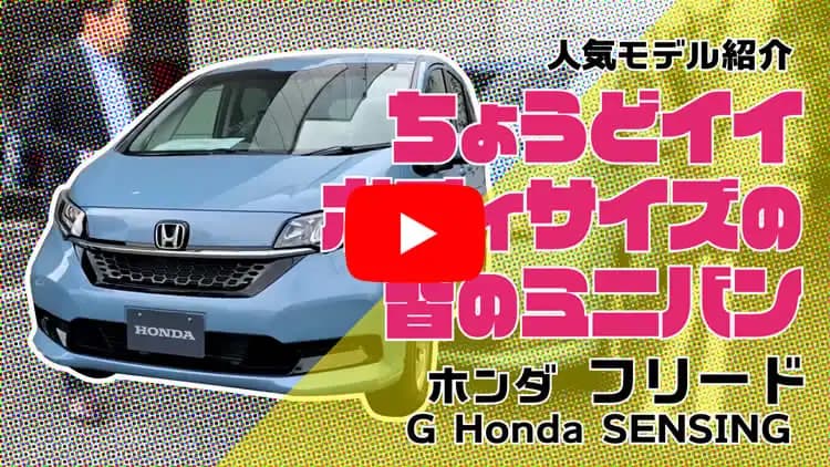 フリードの動画サムネイル