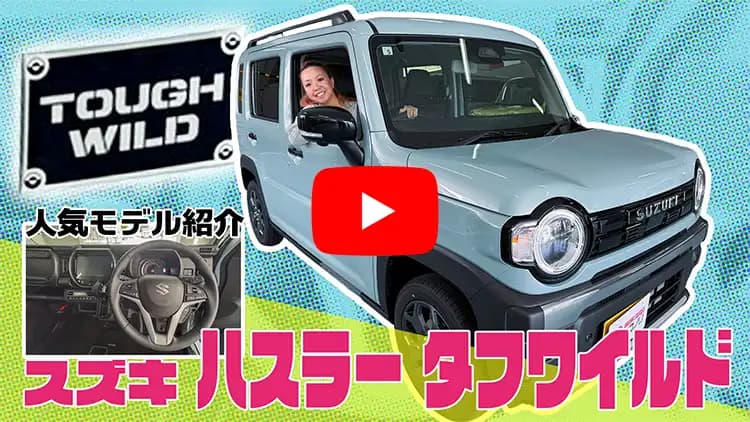 ハスラー タフワイルドの動画サムネイル
