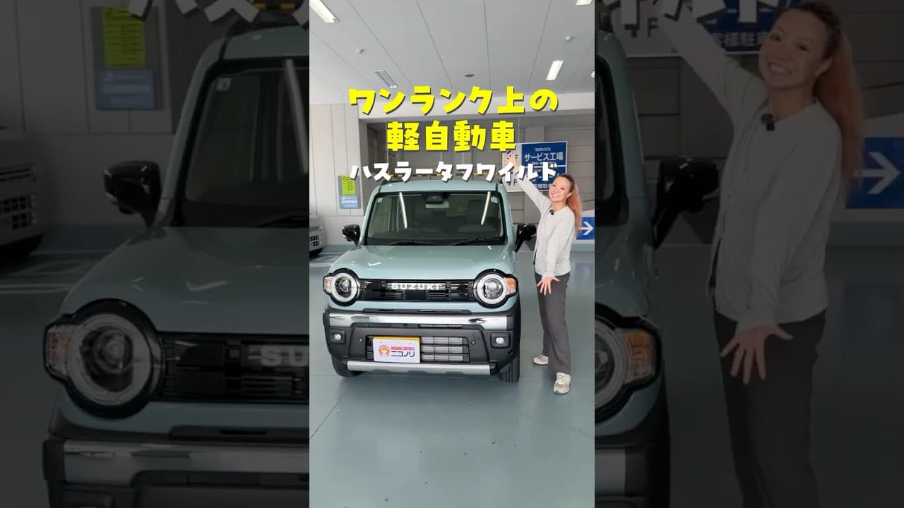 スズキ ハスラー タフワイルド 紹介動画