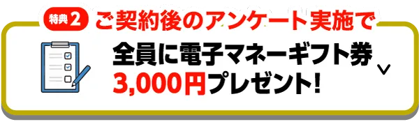 特典2　ご契約後のアンケート実施で「全員に電子マネーギフト券3,000円プレゼント！」